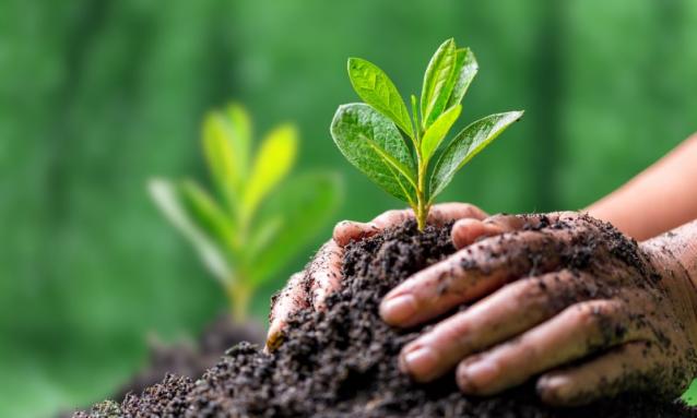 Protection de l'environnement