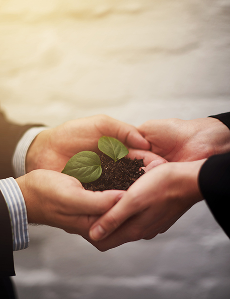 Protection de l'environnement